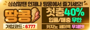 땅콩 - 야동천사